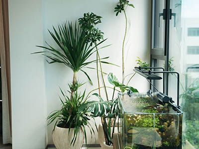 贝涟C1楼盘相册欣赏