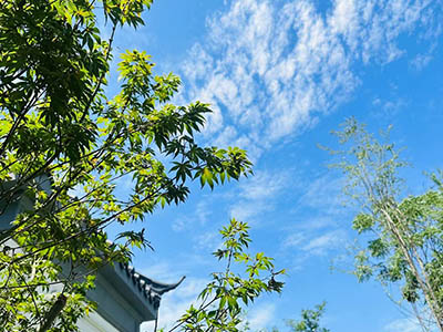 叶香林楼盘相册欣赏