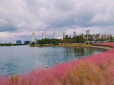 兰香湖贰号楼盘相册欣赏